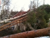 stormsweden1
