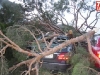 stormsweden3