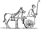 cart-before-horse